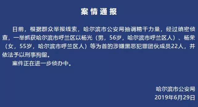 四大家族犯罪集团案件进入诉讼环节，揭秘背后的故事