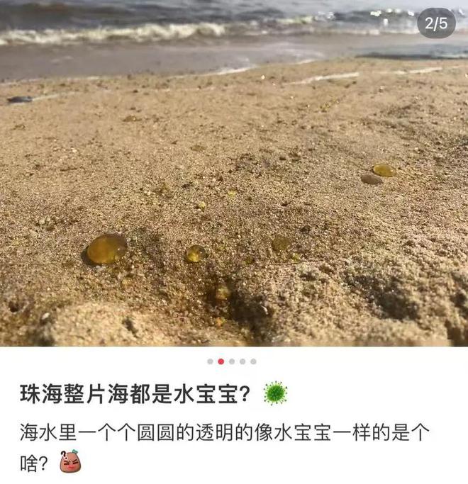 多地海边出现神秘爆爆珠，海洋的新奇现象