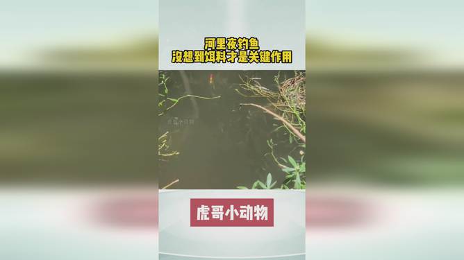 辟谣河里钓整箱现金