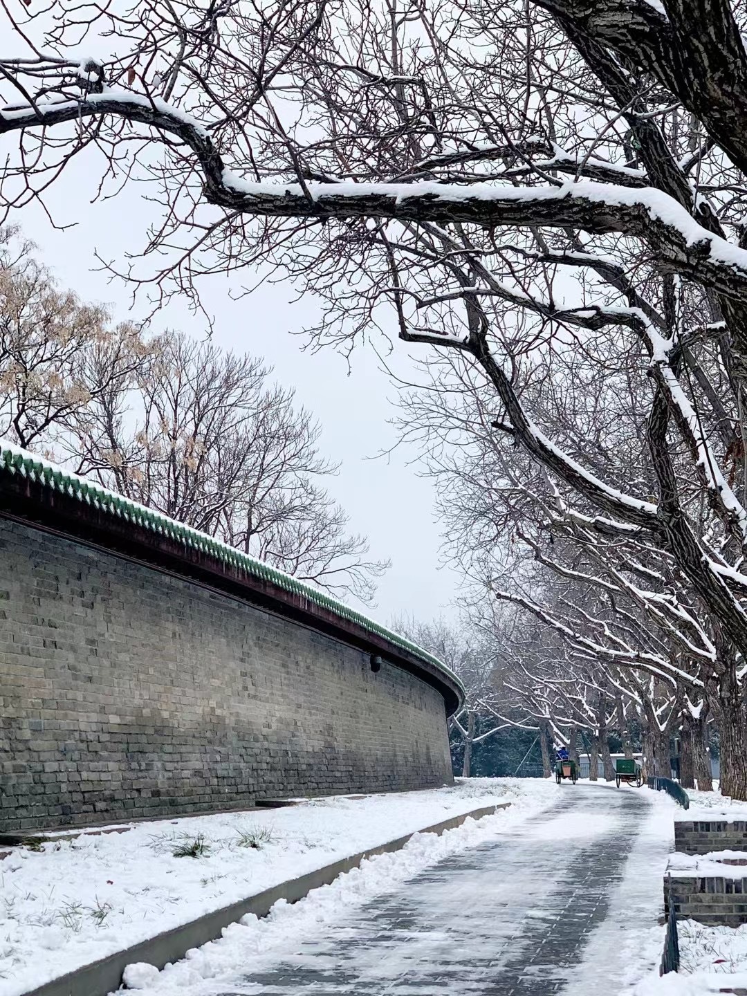 北京下雪了，冬日恋雪的美丽瞬间