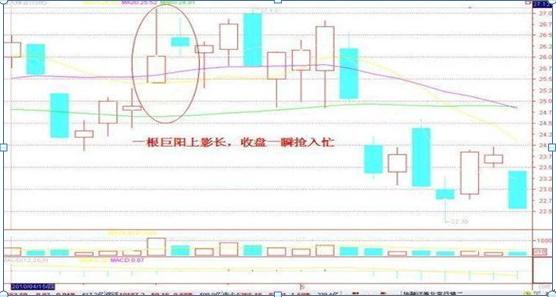 揭秘！坐拥500万粉丝的网红赚钱之路，你意想不到的高收入秘诀！