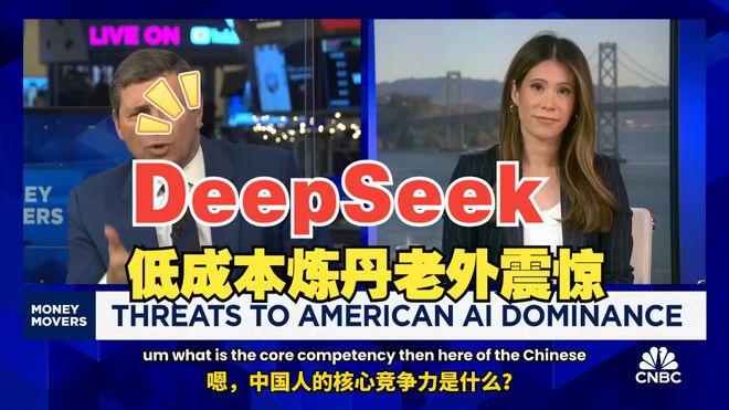 DeepSeek 爆火后