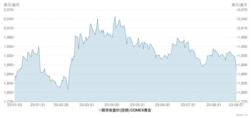 警惕黄金狂热！专家揭秘追涨风险，盲目投资或致血本无归！