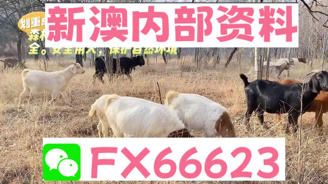 揭秘2024年新澳芳草地资料，数字选择的背后逻辑竟然是这个！专业版78.119震撼发布！