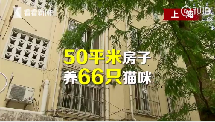 扛着房子搬家50米