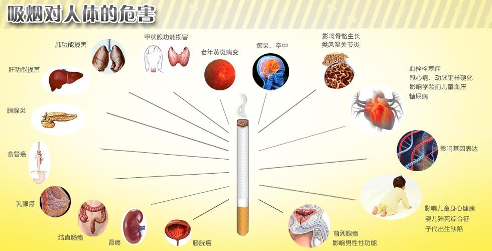 使用攻略 第42页