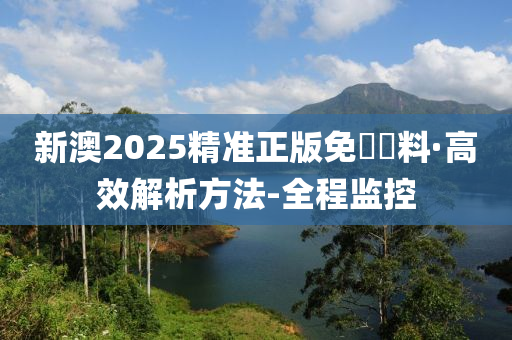 揭开新澳2025年精准正版资料的成功秘诀，4K版87.630背后的惊人秘密！